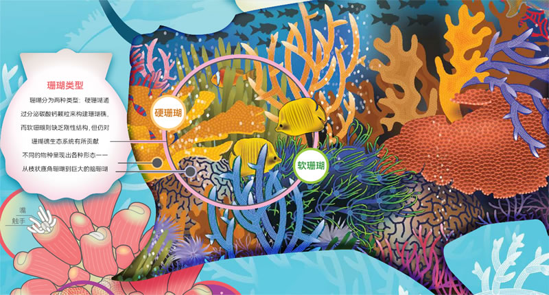 图426030301.jpg 图426030301.jpg