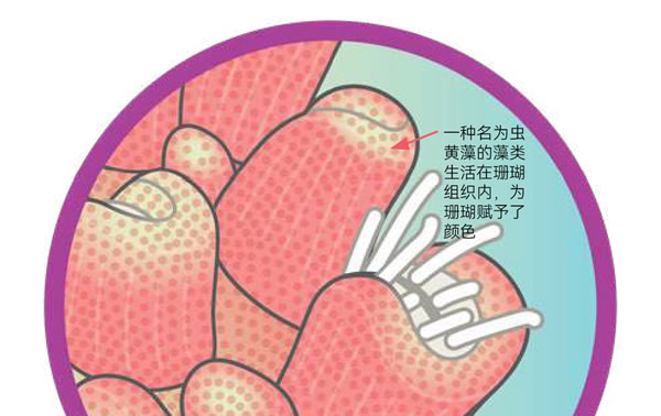 图526030301.jpg 图526030301.jpg