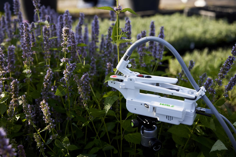 Porometer260310.jpg Porometer260310.jpg