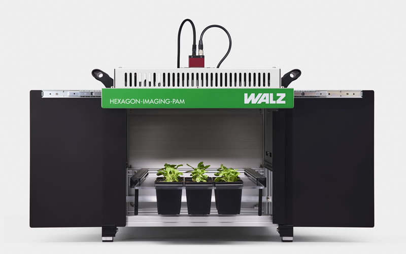 HXEAON-IMAGING-PAM260310.jpg HXEAON-IMAGING-PAM260310.jpg