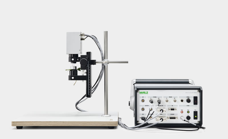 MULTI-COLOR-PAM-II260310.jpg MULTI-COLOR-PAM-II260310.jpg