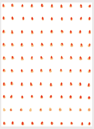 图片16.png