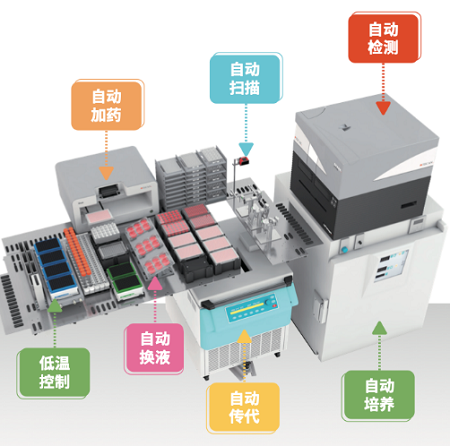 图片12.png 图片12.png