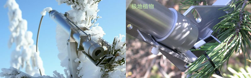 图1026060201.jpg
