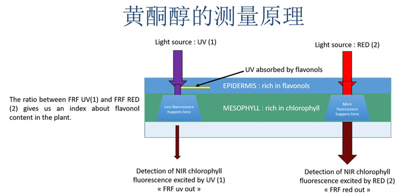 图1226060401.jpg