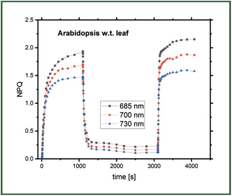 Chlorospec L14.jpg
