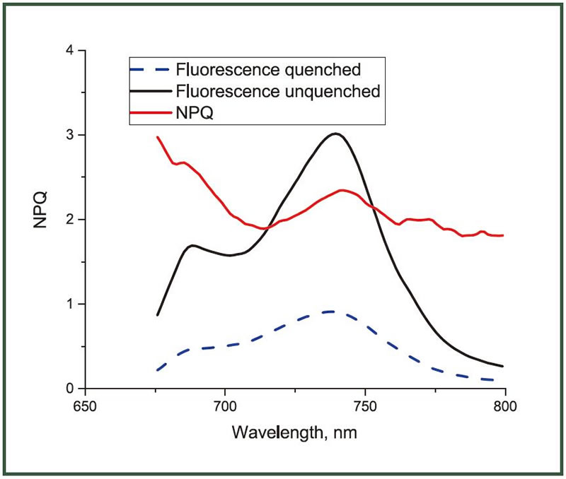 Chlorospec L15.jpg