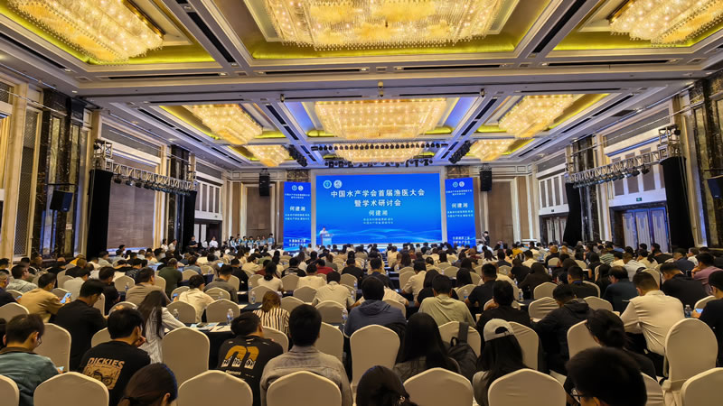 图226082901.jpg