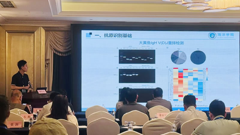 图826082901.jpg